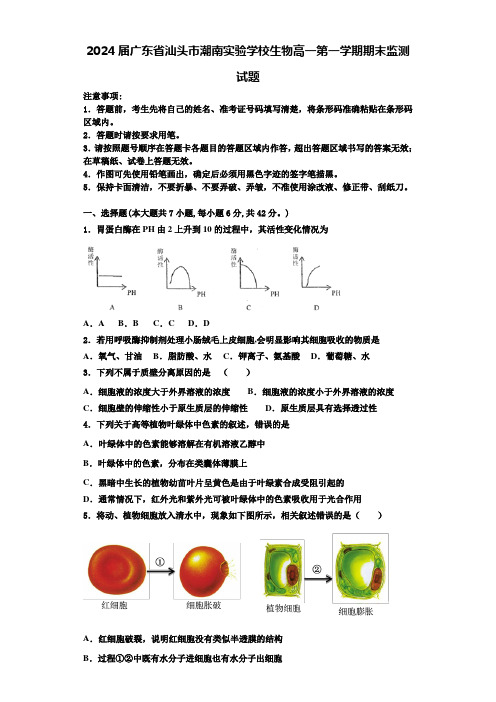 2024届广东省汕头市潮南实验学校生物高一第一学期期末监测试题含解析