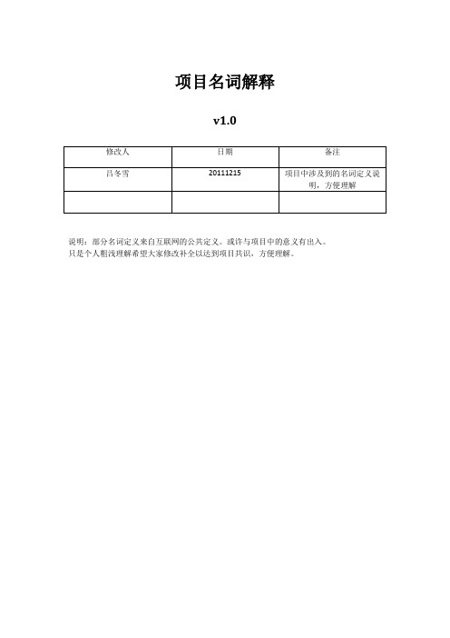 项目名词解释