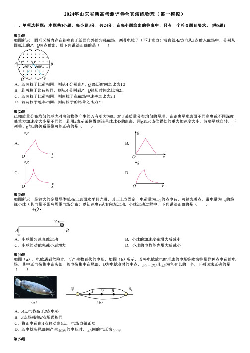 2024年山东省新高考测评卷全真演练物理(第一模拟)