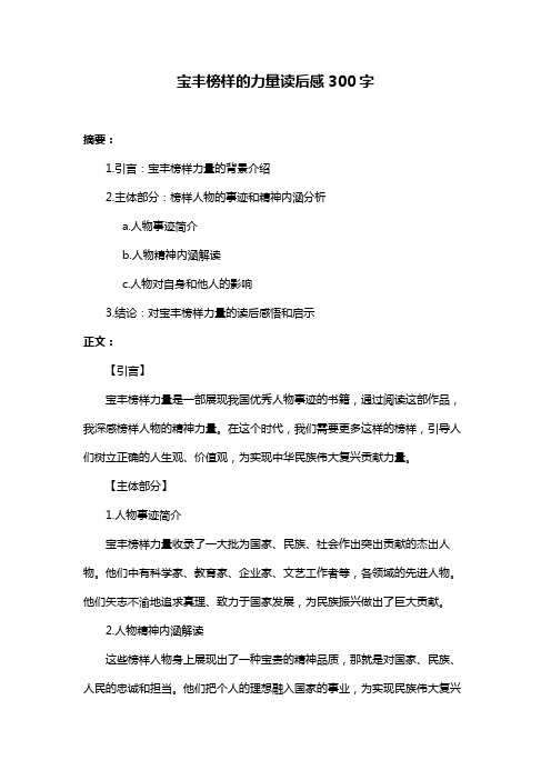 宝丰榜样的力量读后感300字