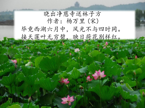 教科版三年级下册第五单元古诗三首