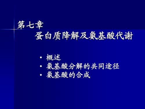 7氨基酸的代谢