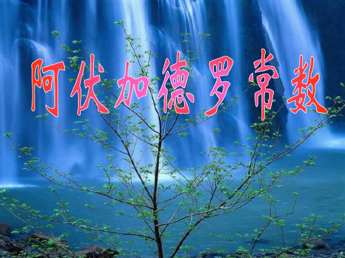 阿伏加德罗常数PPT课件