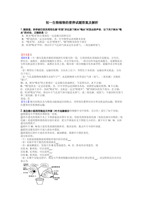 初一生物植物的营养试题答案及解析
