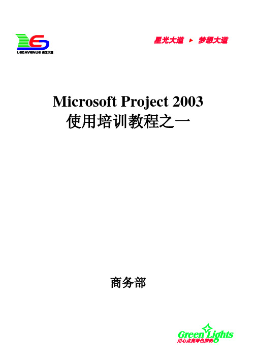 Project_2003_使用教程