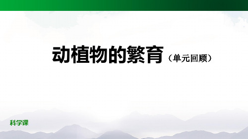 人教鄂教版科学四上第二单元动植物的繁殖(单元回顾)课件