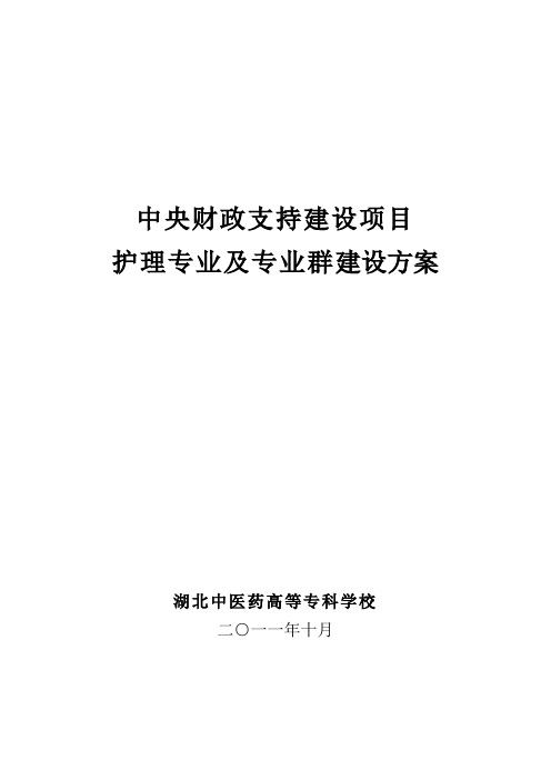 护理专业及专业群建设方案