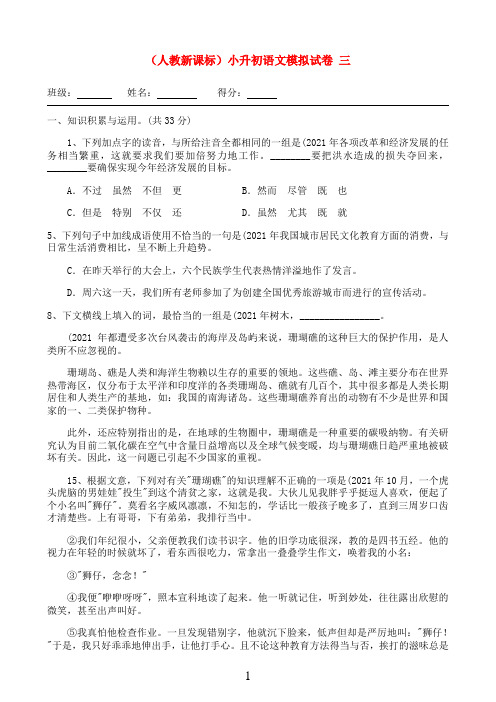 小升初语文模拟试卷三 人教新课标版