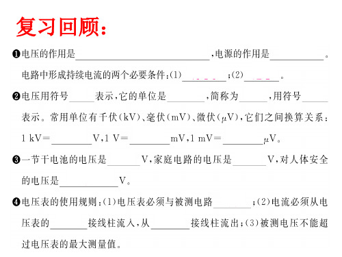 沪科版九年级全一册物理《第五节 测量电压》(一等奖课件)