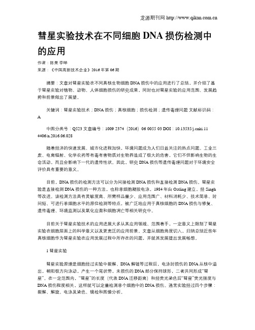 彗星实验技术在不同细胞DNA损伤检测中的应用