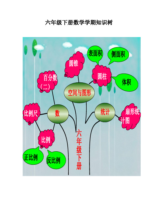 六年级下册数学学期知识树张玉华