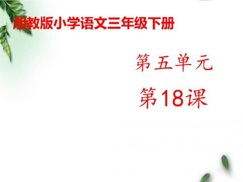 最新湘教版小学语文三年级下册《舍不得这棵树》公开课课件1