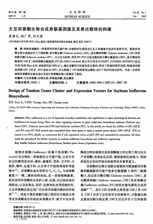 大豆异黄酮生物合成串联基因簇及其表达载体的构建