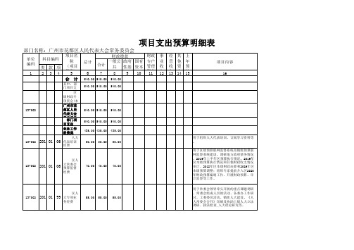 项目支出预算明细表