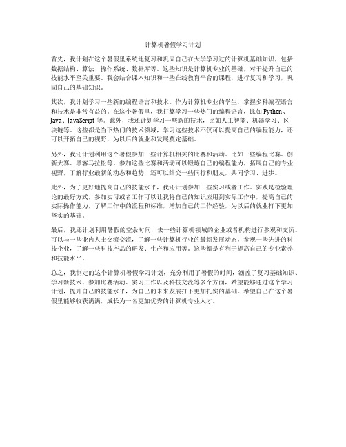 计算机暑假学习计划