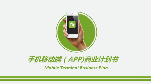 APP商业计划书模板精品PPT课件