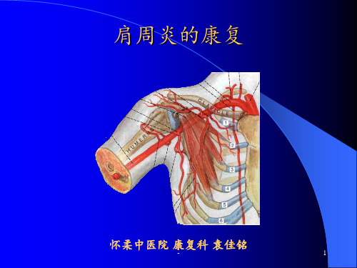 肩周炎康复pptppt课件