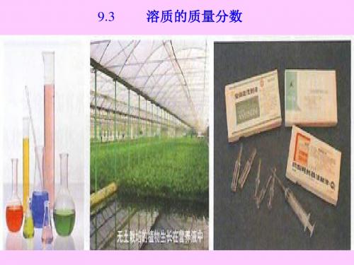 2010中考化学溶质的质量分数