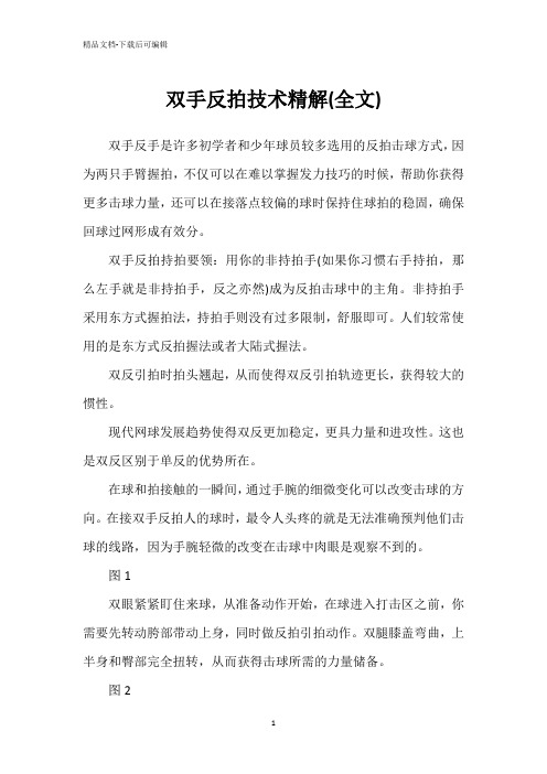 双手反拍技术精解(全文)