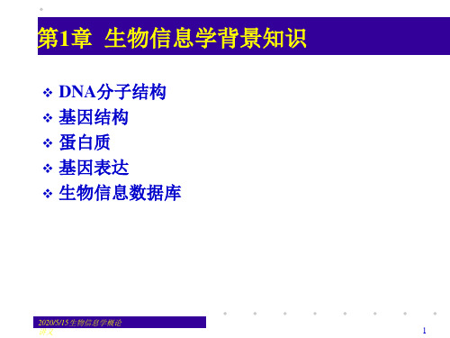 1-生物信息学背景知识