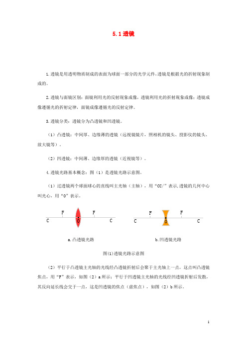 2020_2021学年八年级物理上册5.1透镜知识点与考点解析新版新人教版