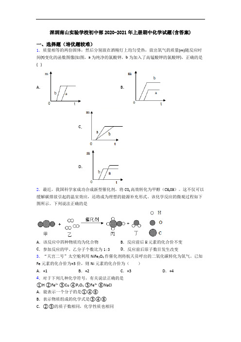 深圳南山实验学校初中部2020-2021年上册期中初三化学试题(含答案)