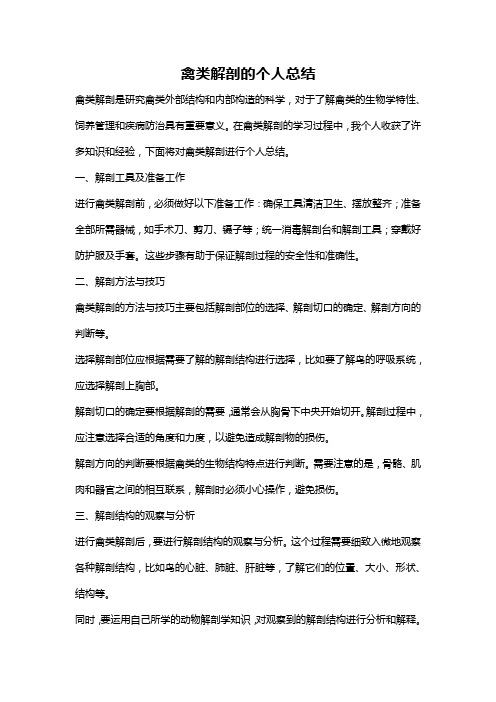 禽类解剖的个人总结