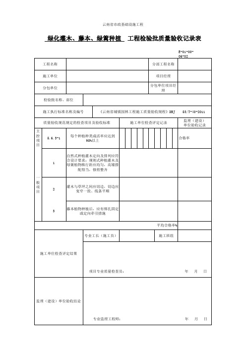 绿化灌木、藤本、绿篱种植  工程检验批质量验收记录表