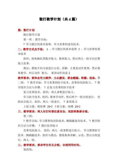 散打教学计划(共4篇)