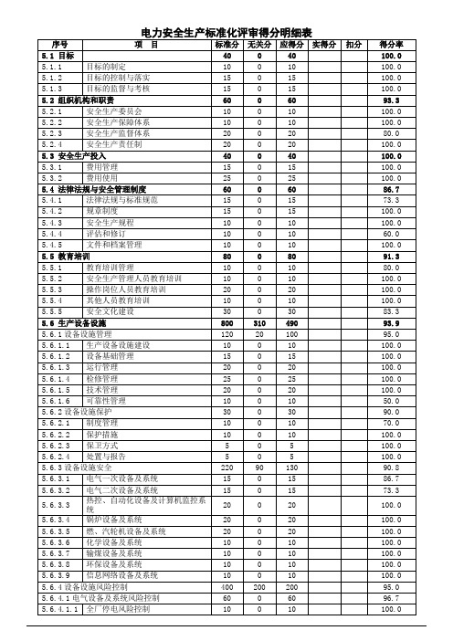 安全生产标准化评审得分明细表