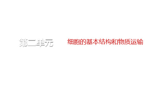 一轮复习人教版细胞器(67张)课件