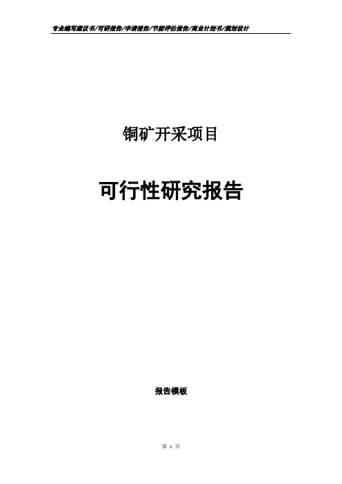 铜矿开采项目可行性研究报告申请报告