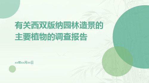 有关西双版纳园林造景的主要植物的调查报告