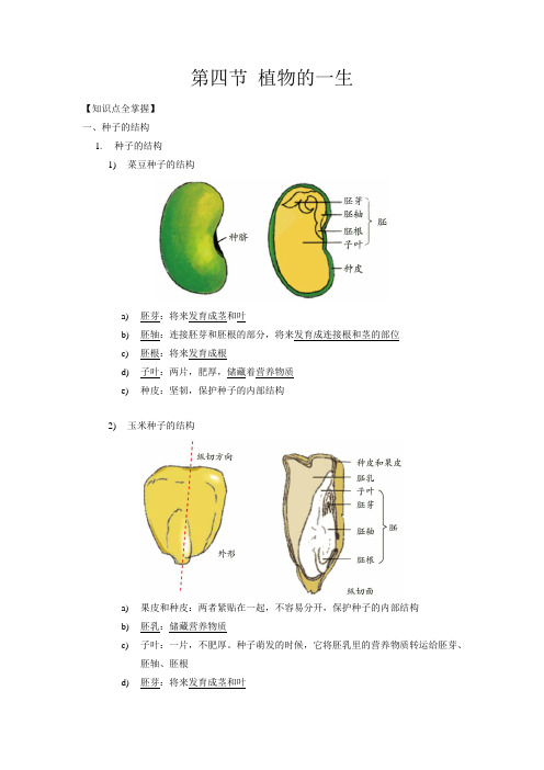 1.4 植物的一生(解析版)——2020-2021学年科学七年级下册讲练测(浙教版)