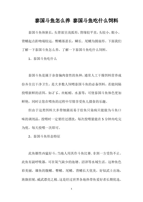 泰国斗鱼怎么养泰国斗鱼吃什么饲料