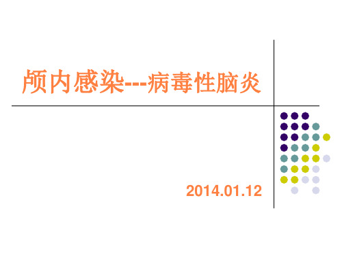 病毒性脑炎ppt课件
