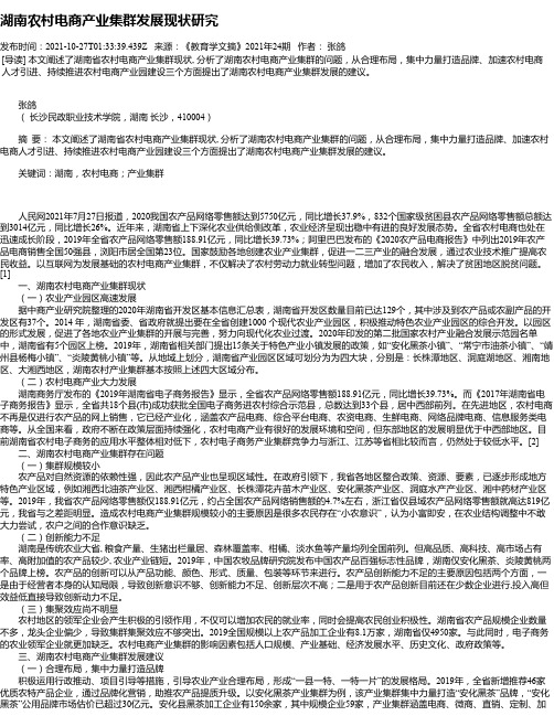 湖南农村电商产业集群发展现状研究