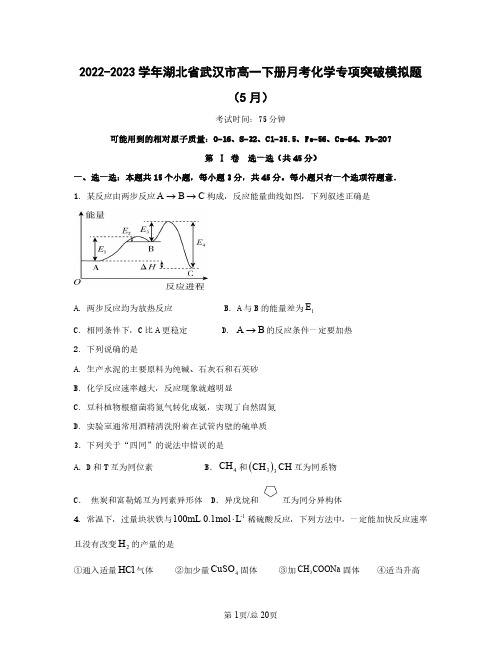 2022——2023学年湖北省武汉市高一下学期月考化学专项突破模拟题5月6月(含答案)