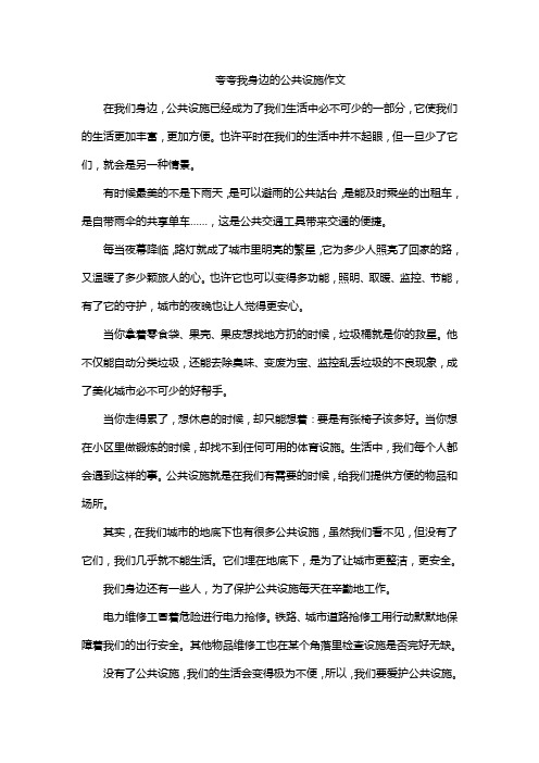 夸夸我身边的公共设施作文