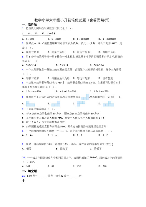 数学小学六年级小升初培优试题(含答案解析)