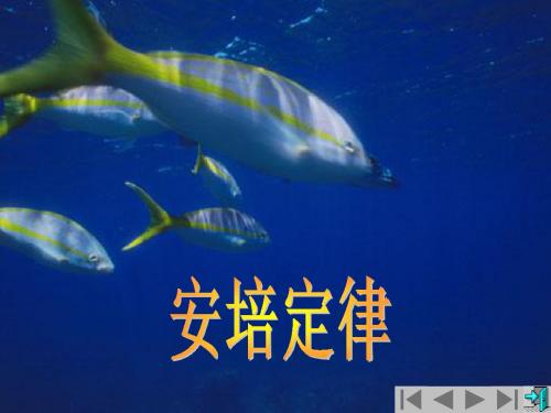 安培定律 洛仑兹力