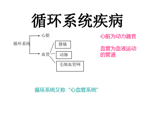 循环系统疾病 PPT课件