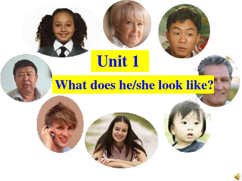 unit1 what_does_he_look_like__总复习课件