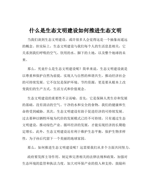 什么是生态文明建设如何推进生态文明