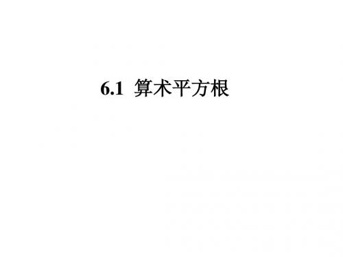 10.1算术平方根 2