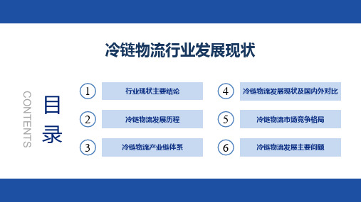 冷链物流行业发展现状-中国冷链物流行业系列PPT