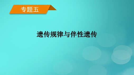 新高考适用2023版高考生物二轮总复习专题5遗传规律与伴性遗传第2讲伴性遗传与人类遗传参件