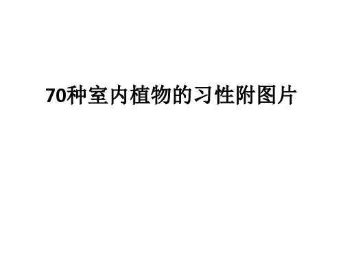 70种室内植物的习性附图片