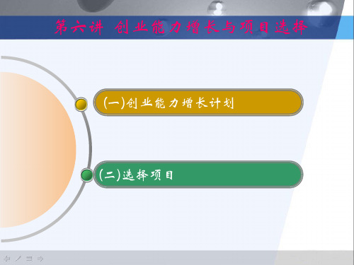 第六讲-大学生创业实务-项目选择PPT课件