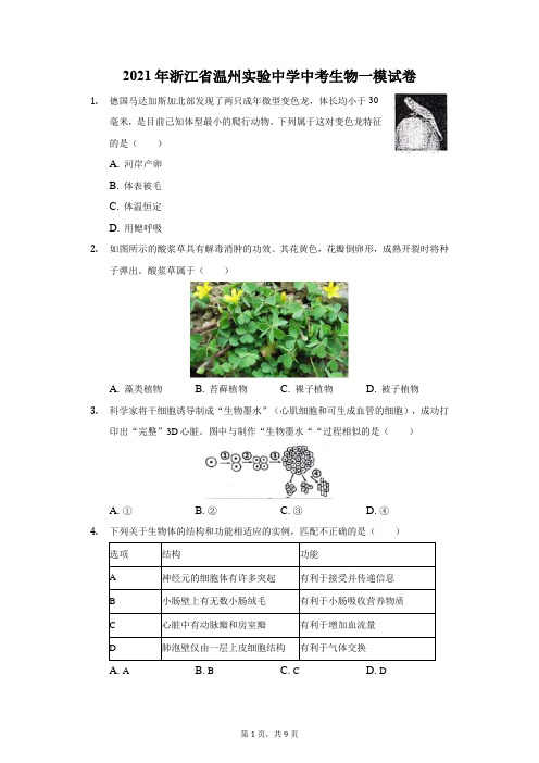 2021年浙江省温州实验中学中考生物一模试卷(附答案详解)